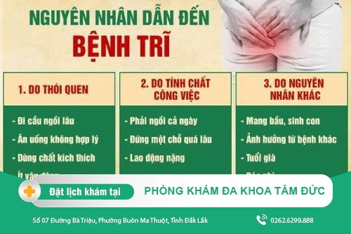 Tại sao lại bị trĩ? Tìm hiểu ngay nguyên nhân và cách điều trị bệnh trĩ