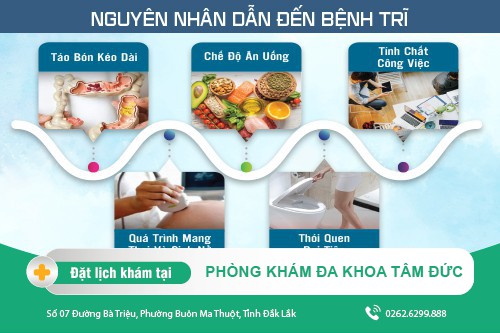 Tổng Quan Về Bệnh Trĩ - Triệu Chứng Và Cách Điều Trị Hiệu Quả