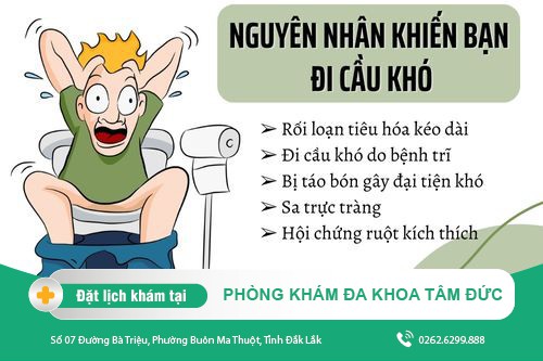 Nguyên nhân khiến bạn đi cầu khó và cách khắc phục hiệu quả